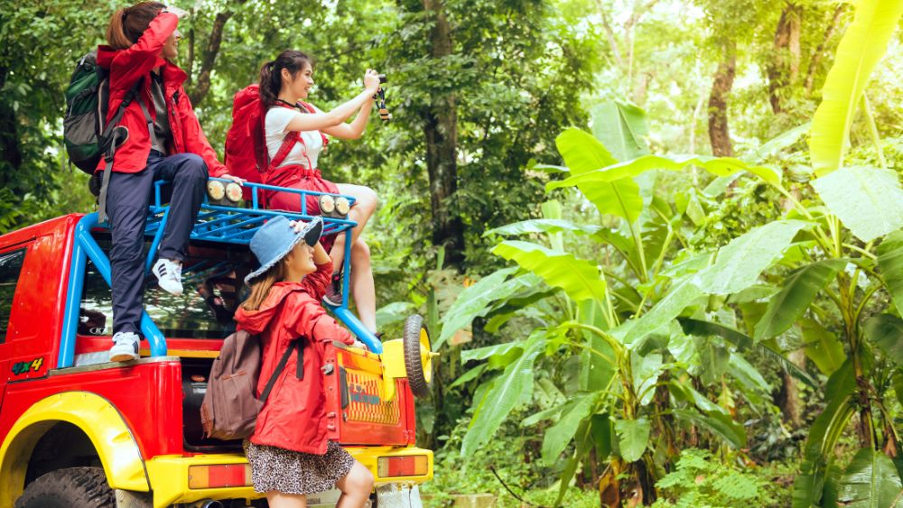 Wildlife Safari India - Resort Trimurti